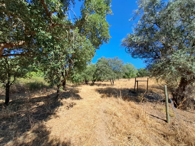 Terreno Misto para Venda em Vidigueira Foto 48