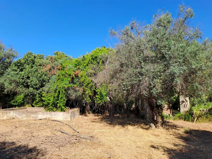 Terreno Misto para Venda em Vidigueira Foto 67