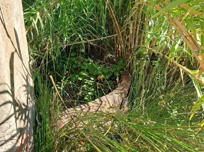 Terreno Misto para Venda em Vidigueira Foto 24