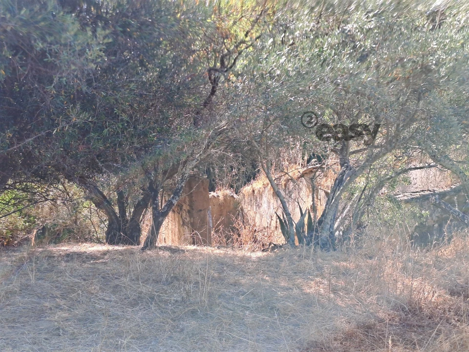 Terreno Misto para Venda em Vidigueira Foto 32