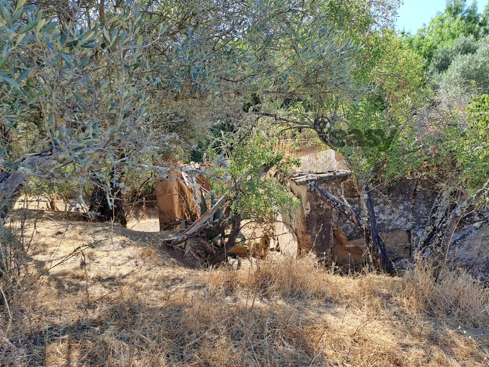 Terreno Misto para Venda em Vidigueira Foto 26