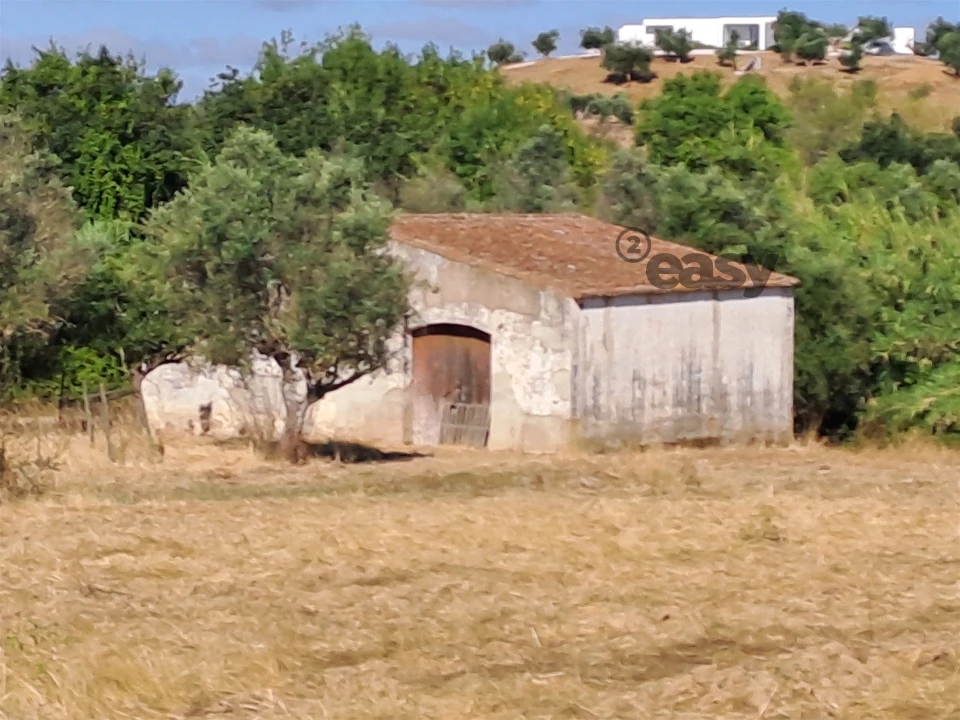 Terreno Misto para Venda em Vidigueira Foto 10