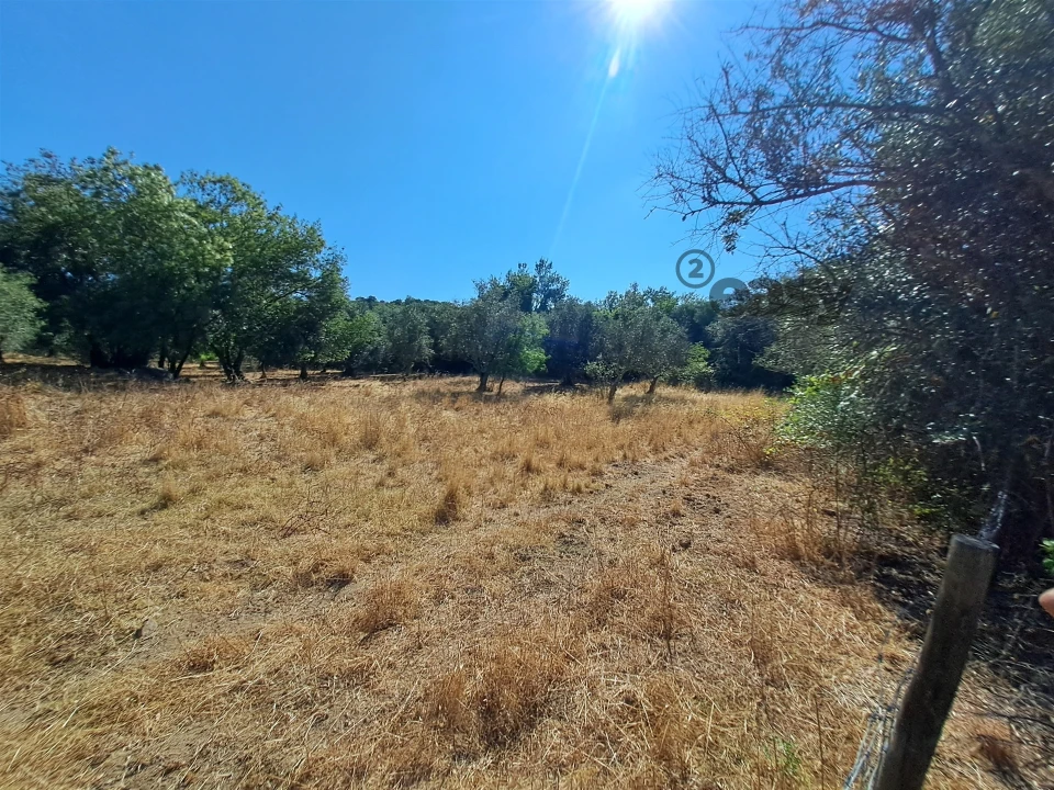Terreno Misto para Venda em Vidigueira Foto 47