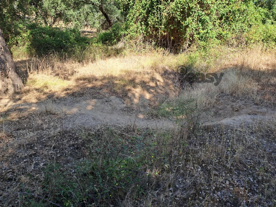 Terreno Misto para Venda em Vidigueira Foto 56