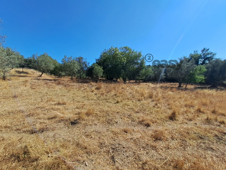 Terreno Misto para Venda em Vidigueira Foto 46