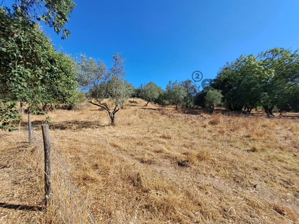 Terreno Misto para Venda em Vidigueira Foto 45