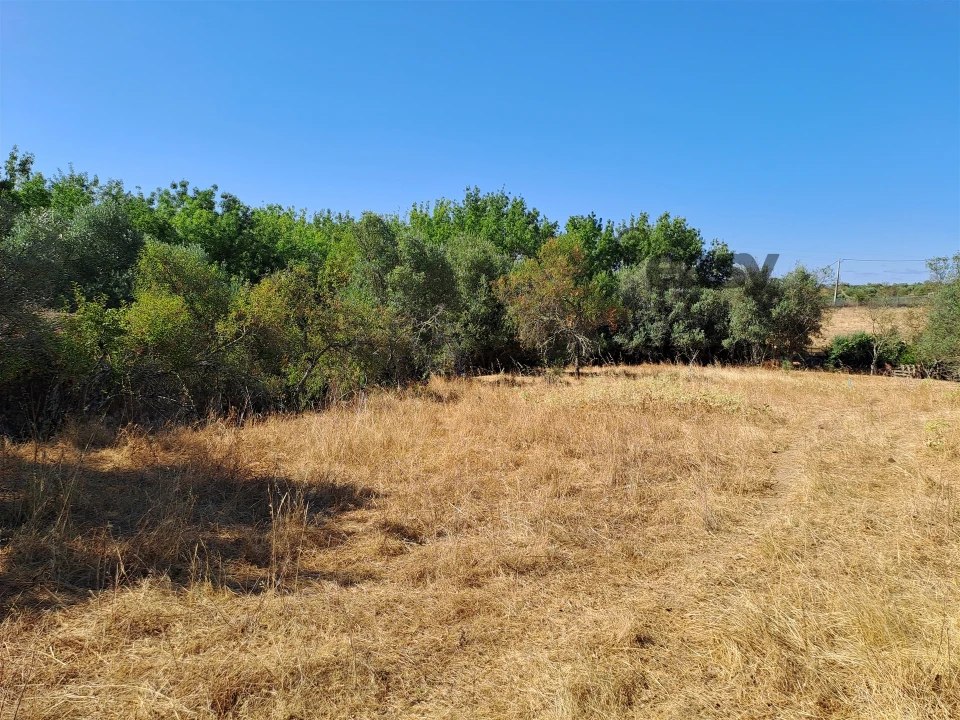 Terreno Misto para Venda em Vidigueira Foto 30