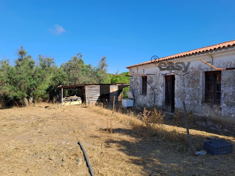 Terreno Misto para Venda em Vidigueira Foto 5