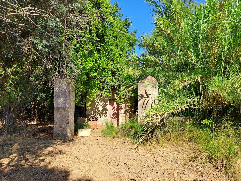 Terreno Misto para Venda em Vidigueira Foto 22
