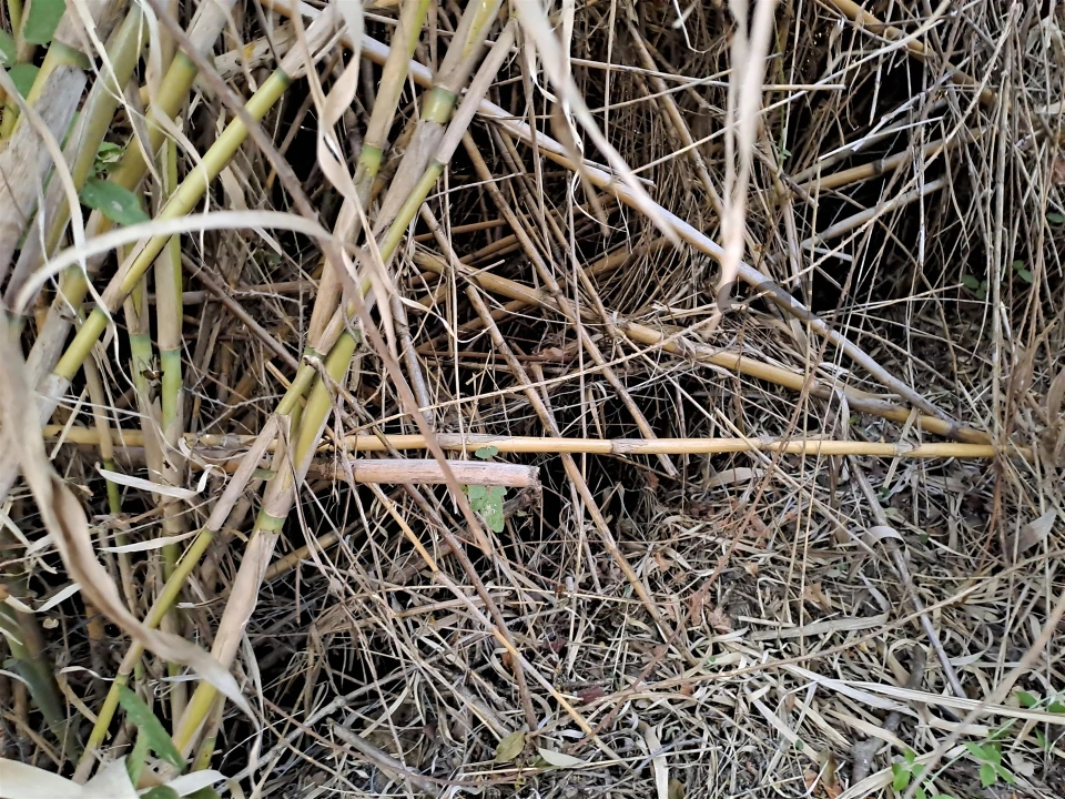 Terreno Misto para Venda em Vidigueira Foto 55
