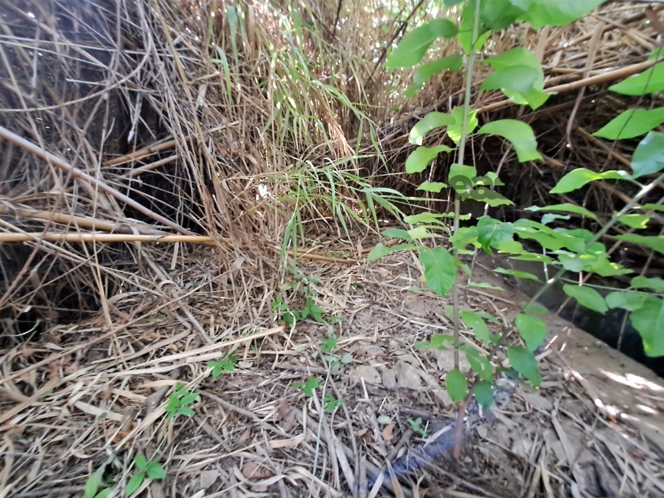 Terreno Misto para Venda em Vidigueira Foto 54