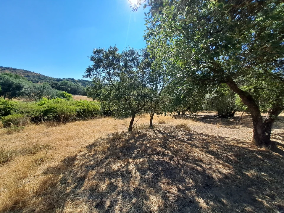 Terreno Misto para Venda em Vidigueira Foto 39