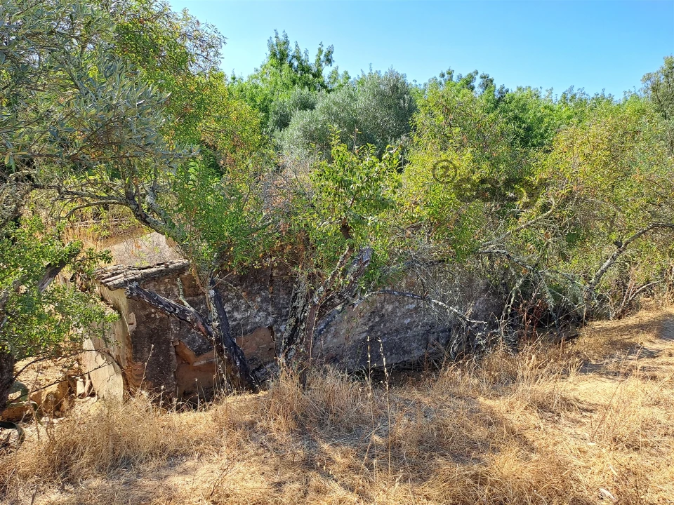 Terreno Misto para Venda em Vidigueira Foto 27