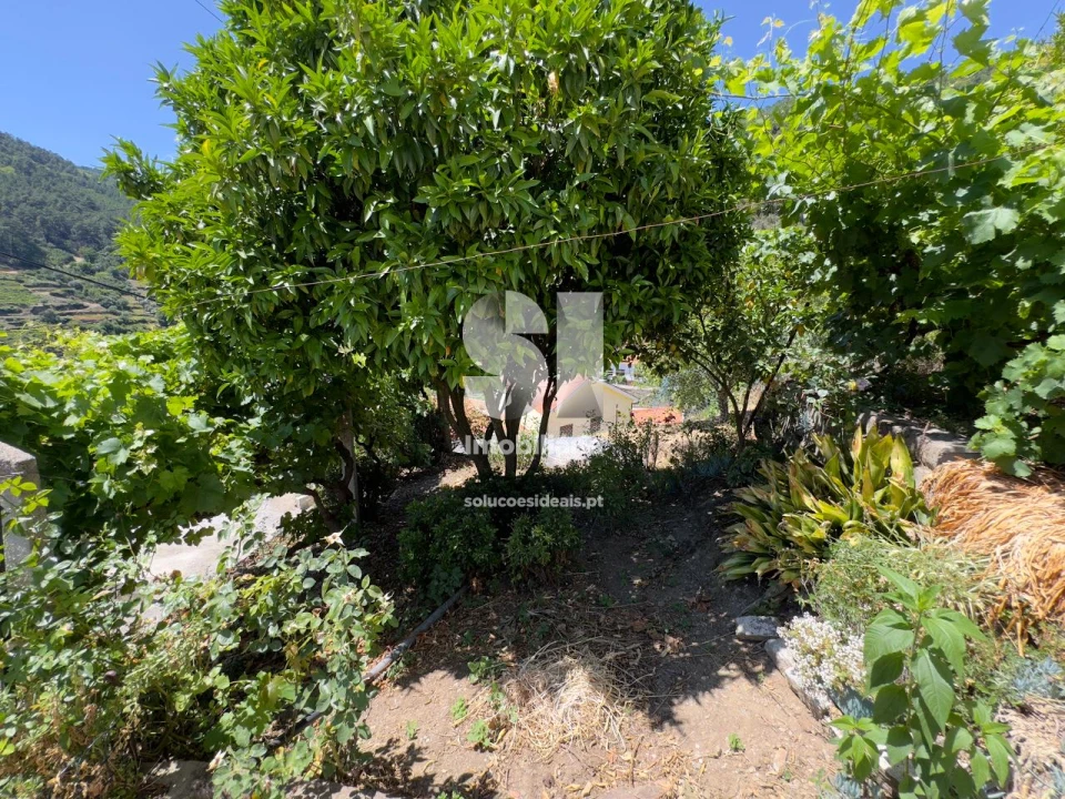 Moradia T4 para Venda em Covas do Douro Foto 18