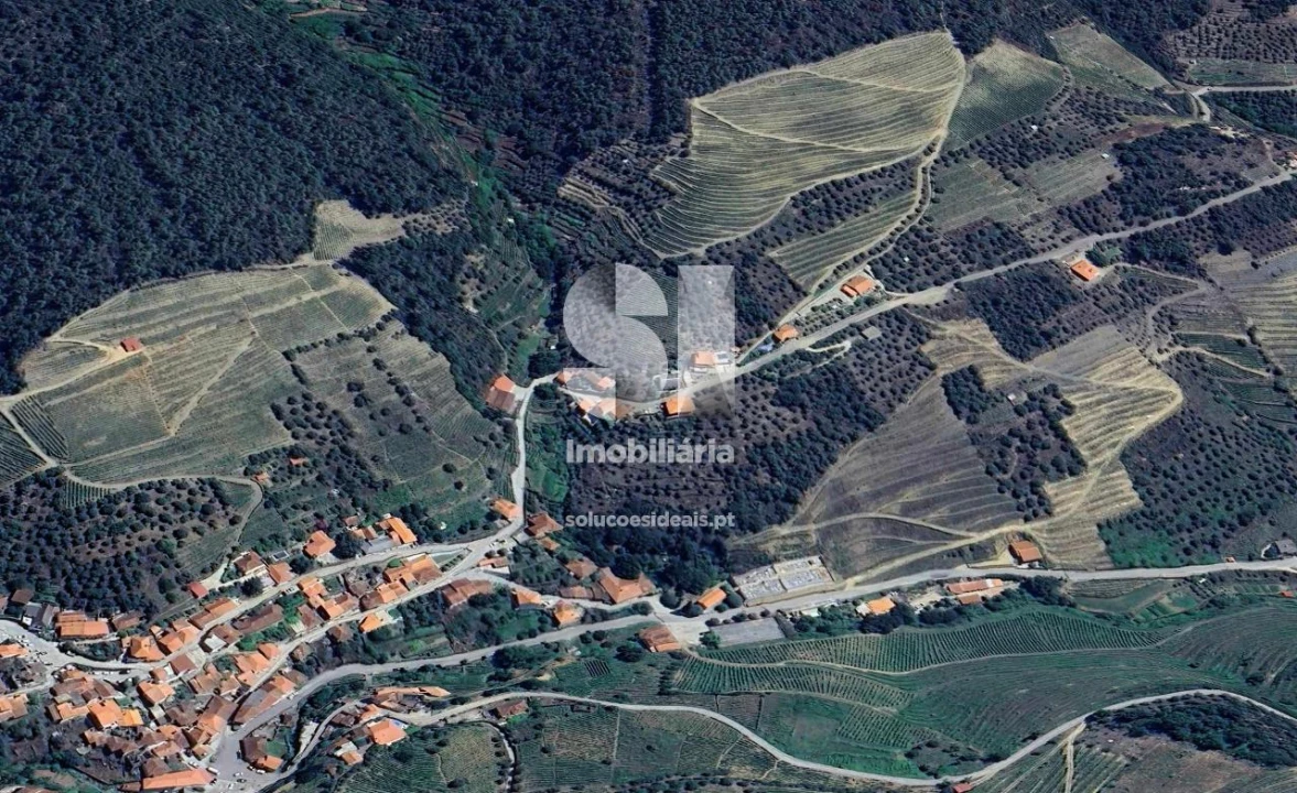 Moradia T4 para Venda em Covas do Douro Foto 24