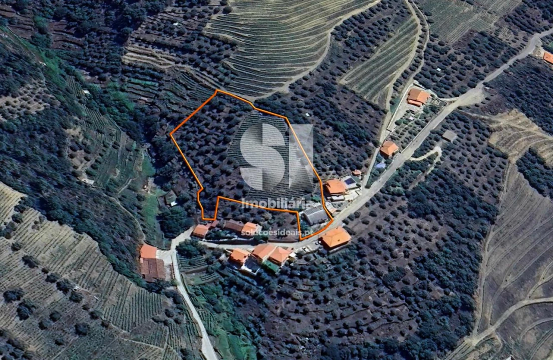 Moradia T4 para Venda em Covas do Douro Foto 25