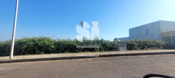 Terreno para Venda em Sabrosa