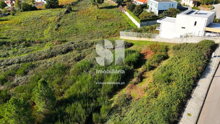 Terreno para Venda em Sabrosa Foto 3