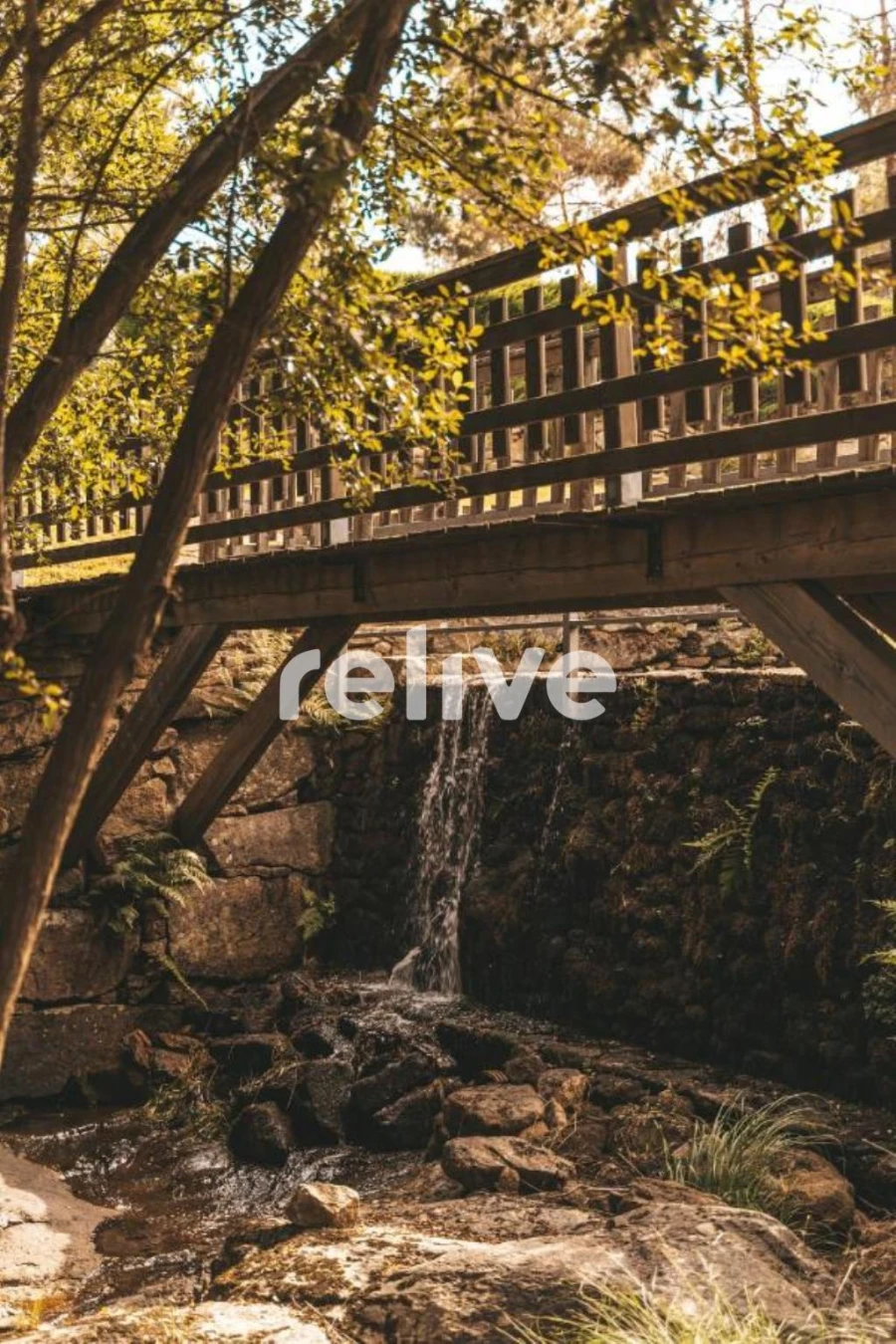 Quinta T10 para Venda em Leomil Foto 25