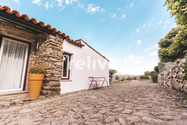 Quinta T10 para Venda em Leomil Foto 32