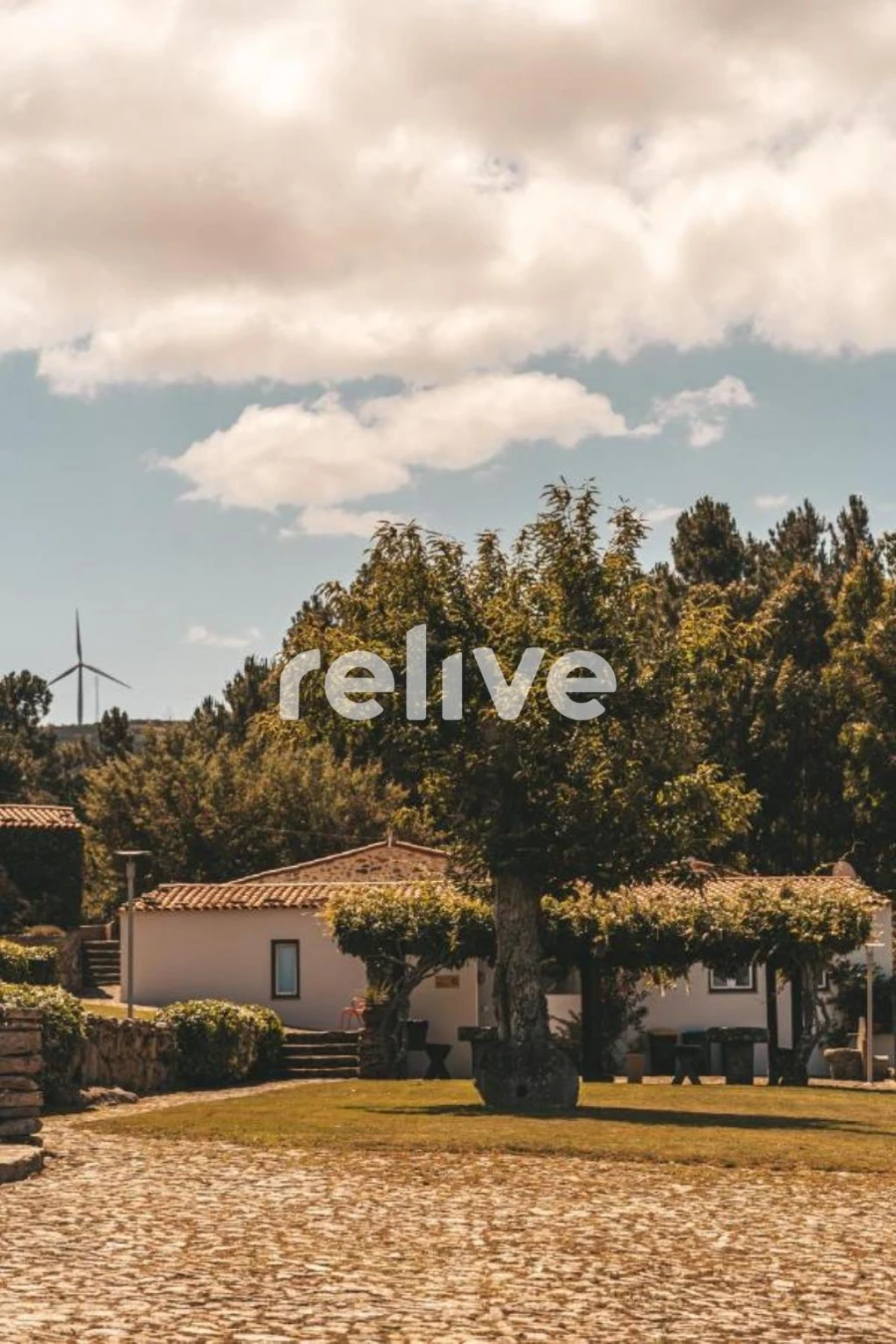 Quinta T10 para Venda em Leomil Foto 14