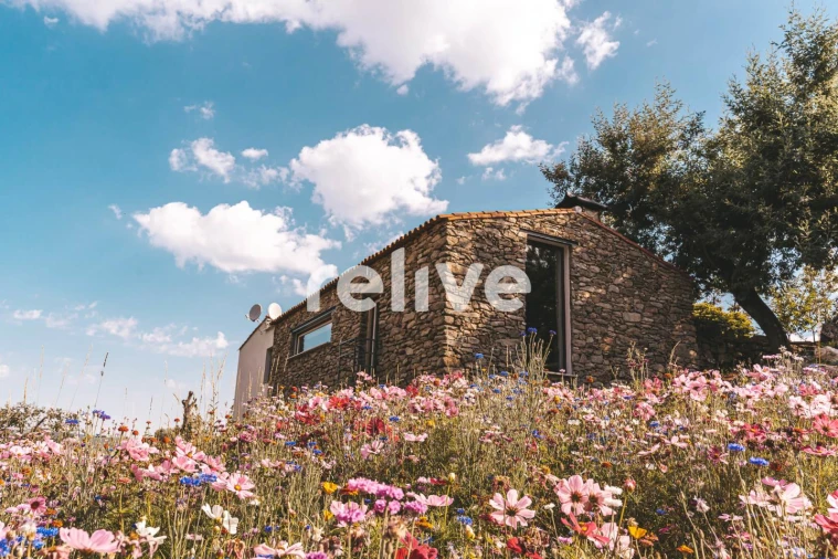 Quinta T10 para Venda em Leomil Foto 44