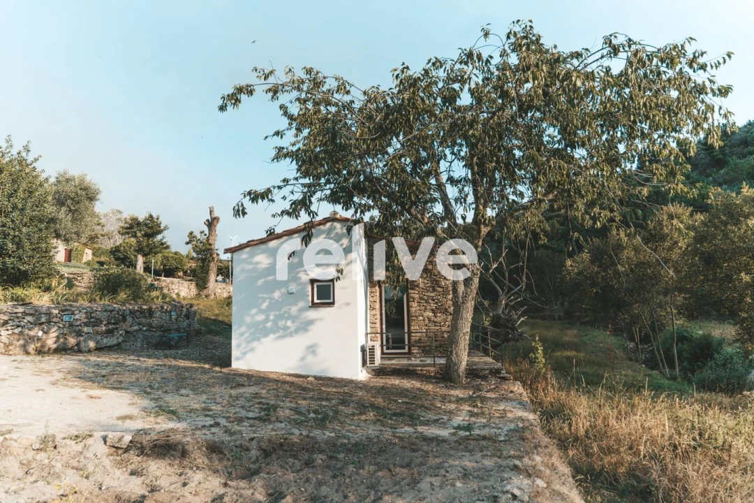 Quinta T10 para Venda em Leomil Foto 35