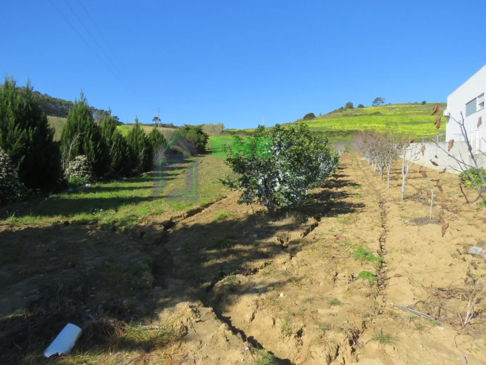 Terreno Misto para Venda em Freiria Foto 3