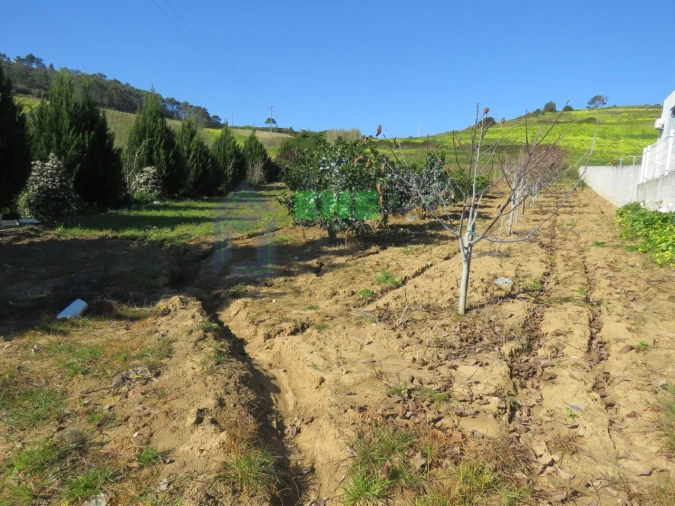 Terreno Misto para Venda em Freiria Foto 1