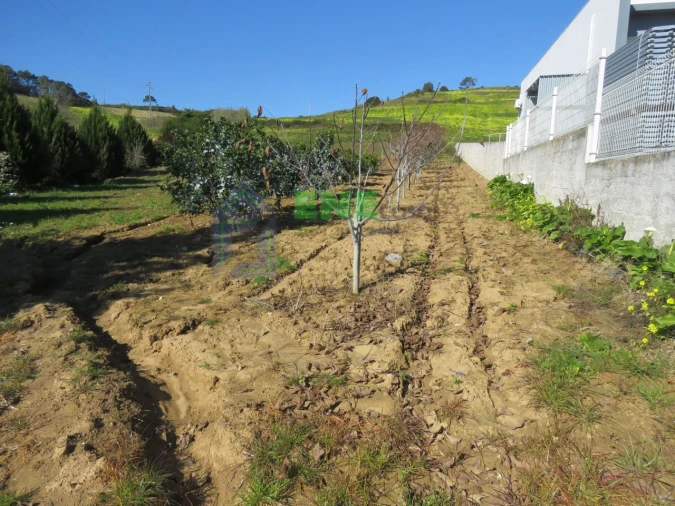 Terreno Misto para Venda em Freiria Foto 2