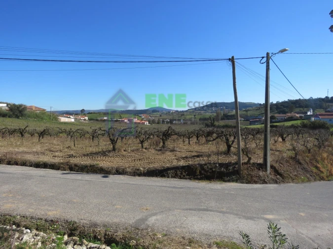 Terreno Misto para Venda em Freiria Foto 4