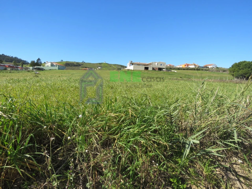 Terreno Misto para Venda em Freiria Foto 1