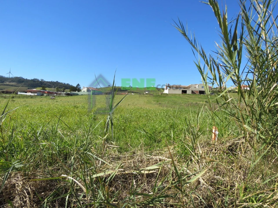 Terreno Misto para Venda em Freiria Foto 4