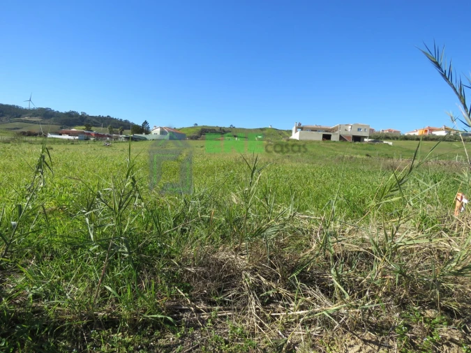 Terreno Misto para Venda em Freiria Foto 2
