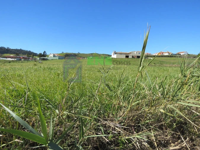 Terreno Misto para Venda em Freiria Foto 3