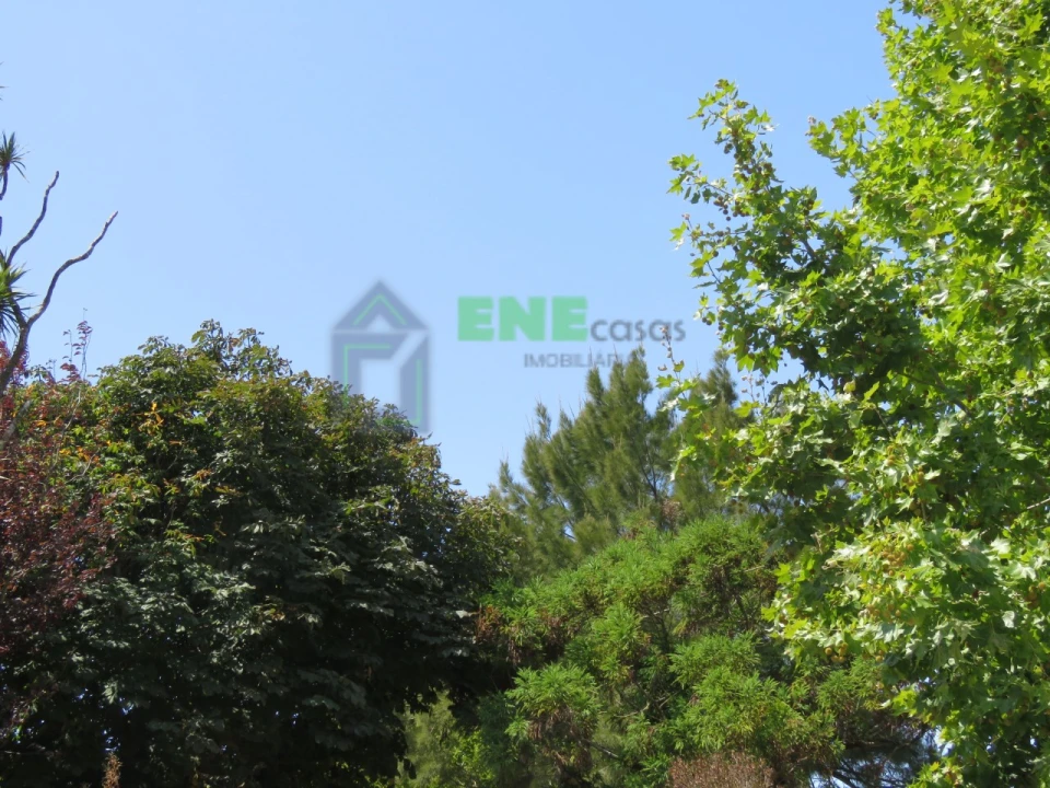 Quinta para Venda em Dois Portos e Runa Foto 5