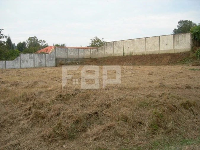 Quinta para Venda em Valença, Cristelo Covo e Arão Foto 13