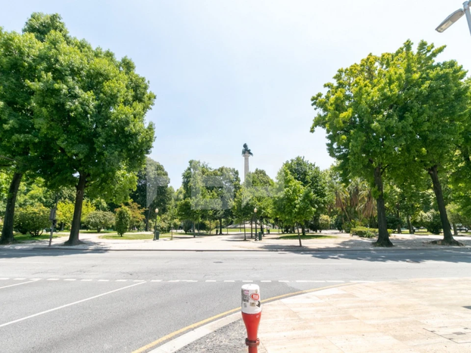 Terreno para Venda em Cedofeita, Santo Ildefonso, Sé, Miragaia, São Nicolau e Vitória Foto 3