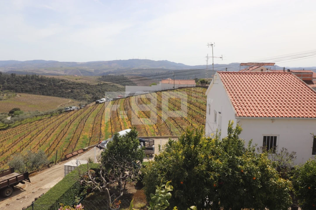 Quinta T5 para Venda em São João da Pesqueira e Várzea de Trevões Foto 9