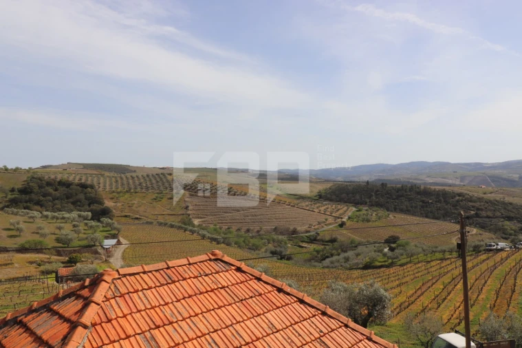 Quinta T5 para Venda em São João da Pesqueira e Várzea de Trevões Foto 7