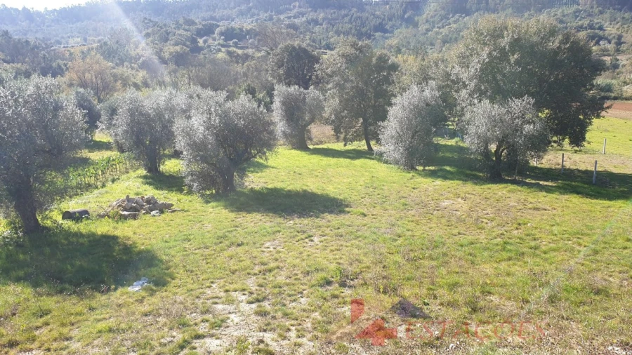 Moradia T4 para Venda em Pombal Foto 42