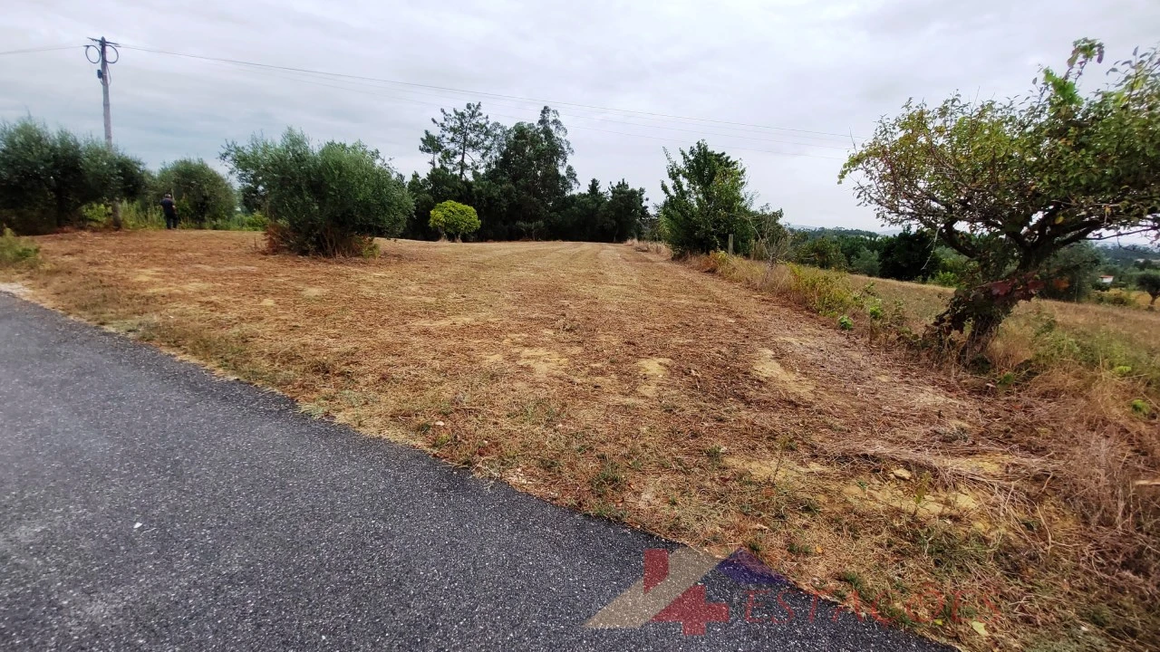 Terreno para Venda em Almagreira Foto 2