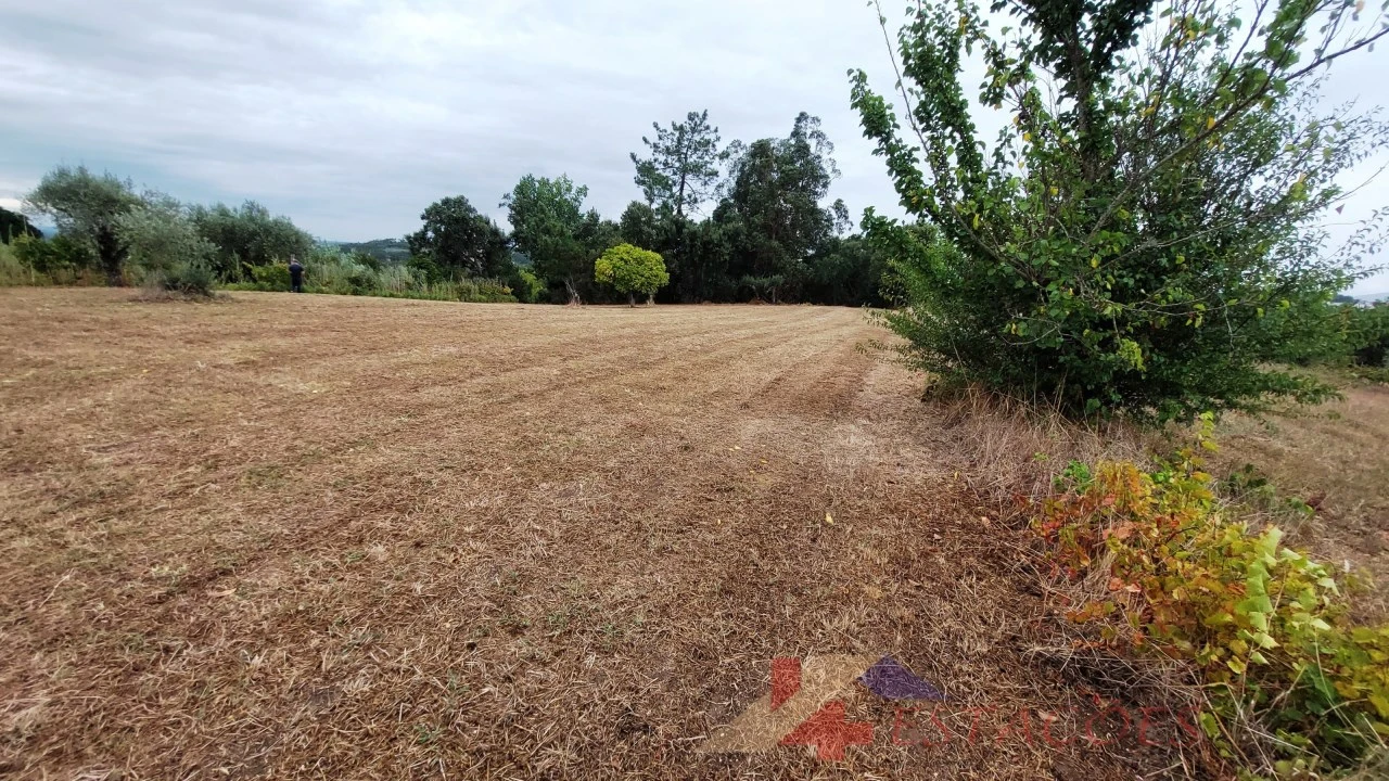 Terreno para Venda em Almagreira Foto 5