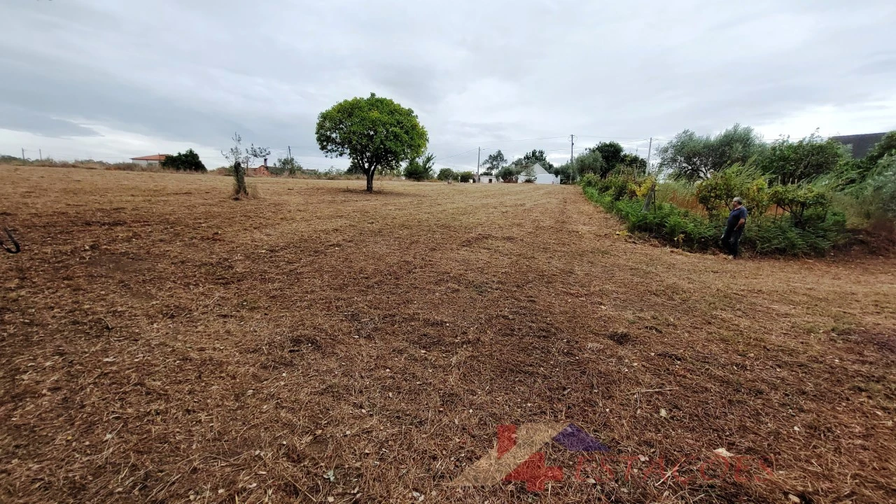Terreno para Venda em Almagreira Foto 7