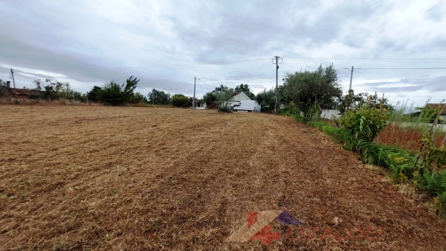 Terreno para Venda em Almagreira Foto 6