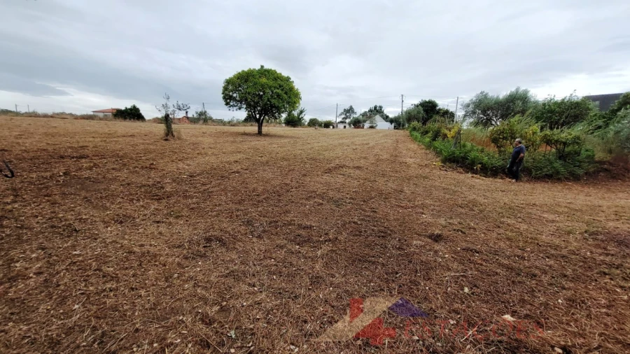 Terreno para Venda em Almagreira Foto 7
