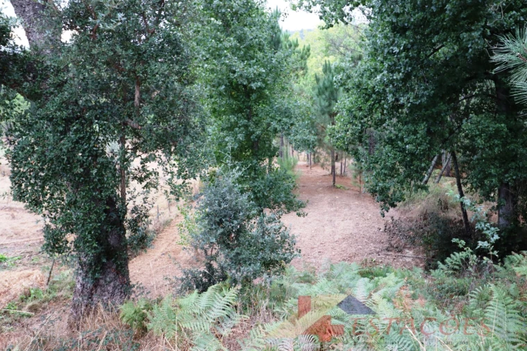 Terreno para Venda em Almagreira Foto 14