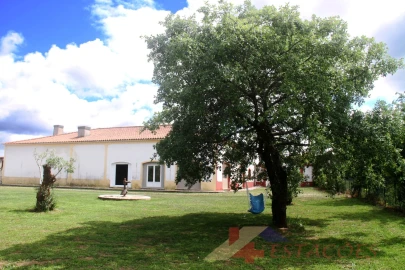 Loja para Venda em Pombal