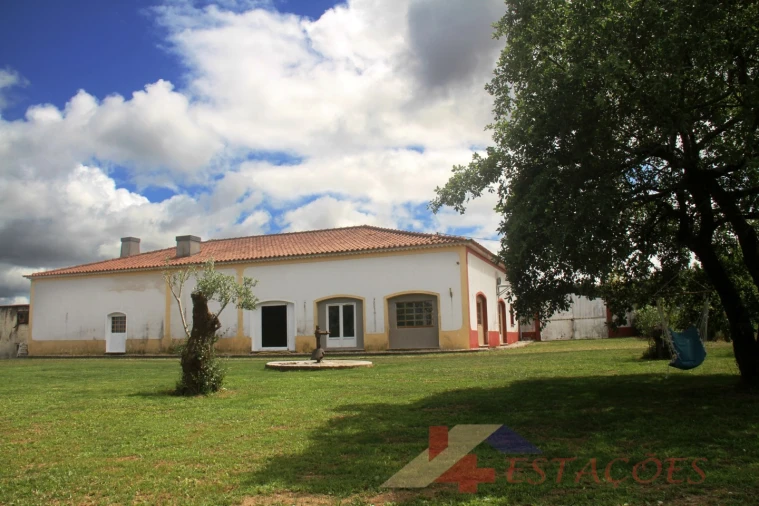 Loja para Venda em Pombal Foto 11