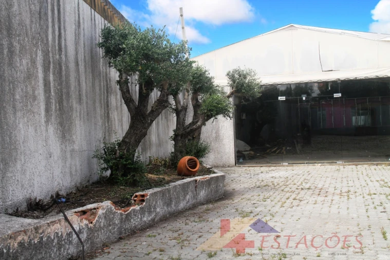 Loja para Venda em Pombal Foto 25